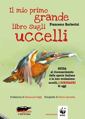 6. libro sugli uccelli 20527524_1653503024680345_307883179_n